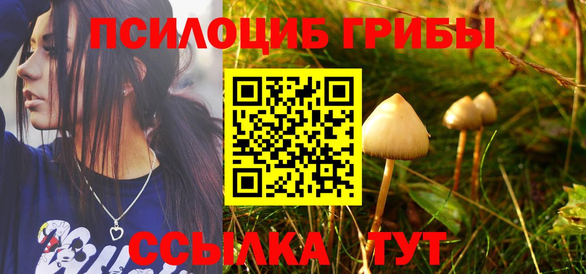 Галлюциногенные грибы MAGIC MUSHROOMS Старая Купавна