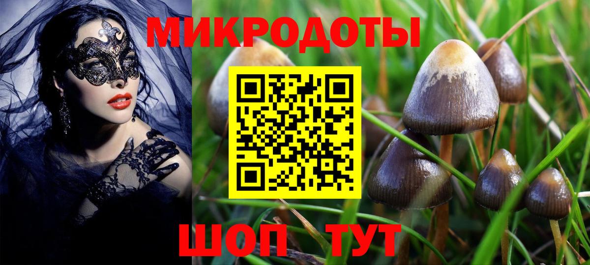 Старая Купавна  Псилоцибиновые грибы мицелий  Вход с VPN 